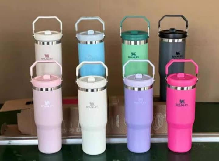 TERMO STANLEY TERMICO COLOR MORADO- MD12877